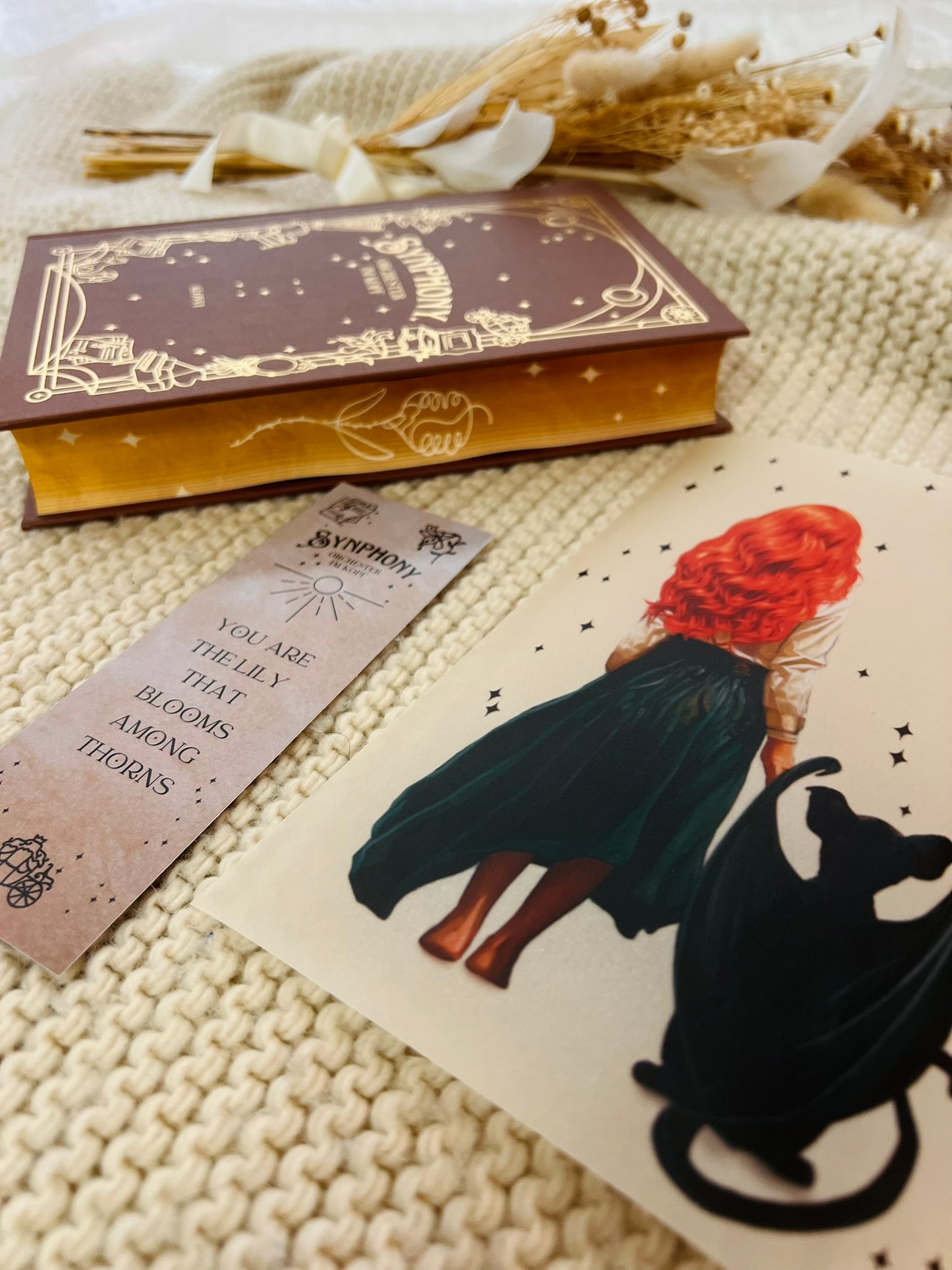 "Synphony - Orchester im Kopf" Signiertes Hardcover mit Farbschnitt, Lesezeichen und Charakterkarte